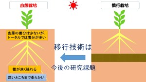 プレゼンテーション1