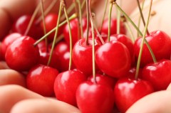 20190619さくらんぼ