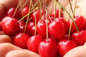 20190619さくらんぼ