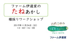 19.11.24たねあかし