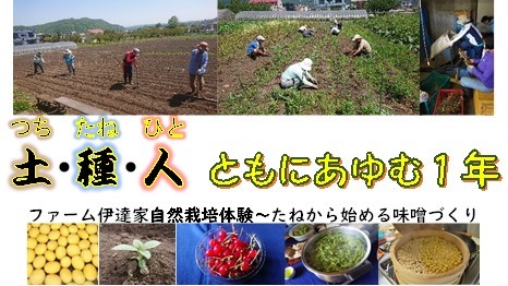 2020土種人タイトル